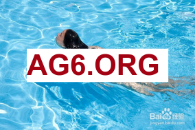 法甲第23轮布雷斯特vs马赛全场比赛录像回放2026年2月21日